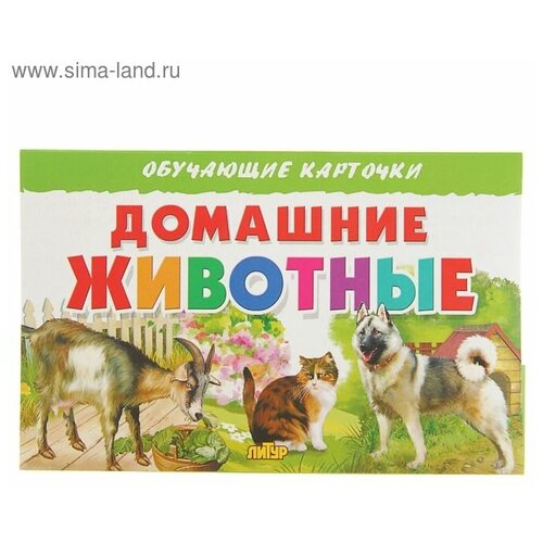 Обучающие карточки «Домашние животные» обучающие карточки домашние животные и птицы