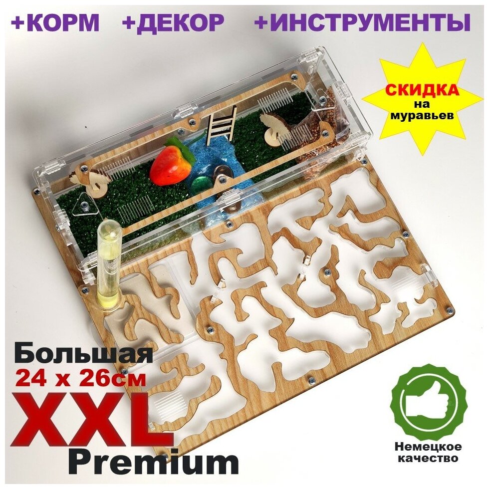 Большая муравьиная ферма XXL Premium 24*26см Полный комплект Древесная - фотография № 1