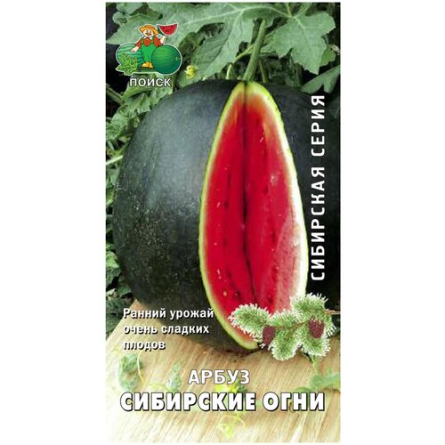 Семена арбуза поиск Сибирская серия Сибирские огни 15 шт