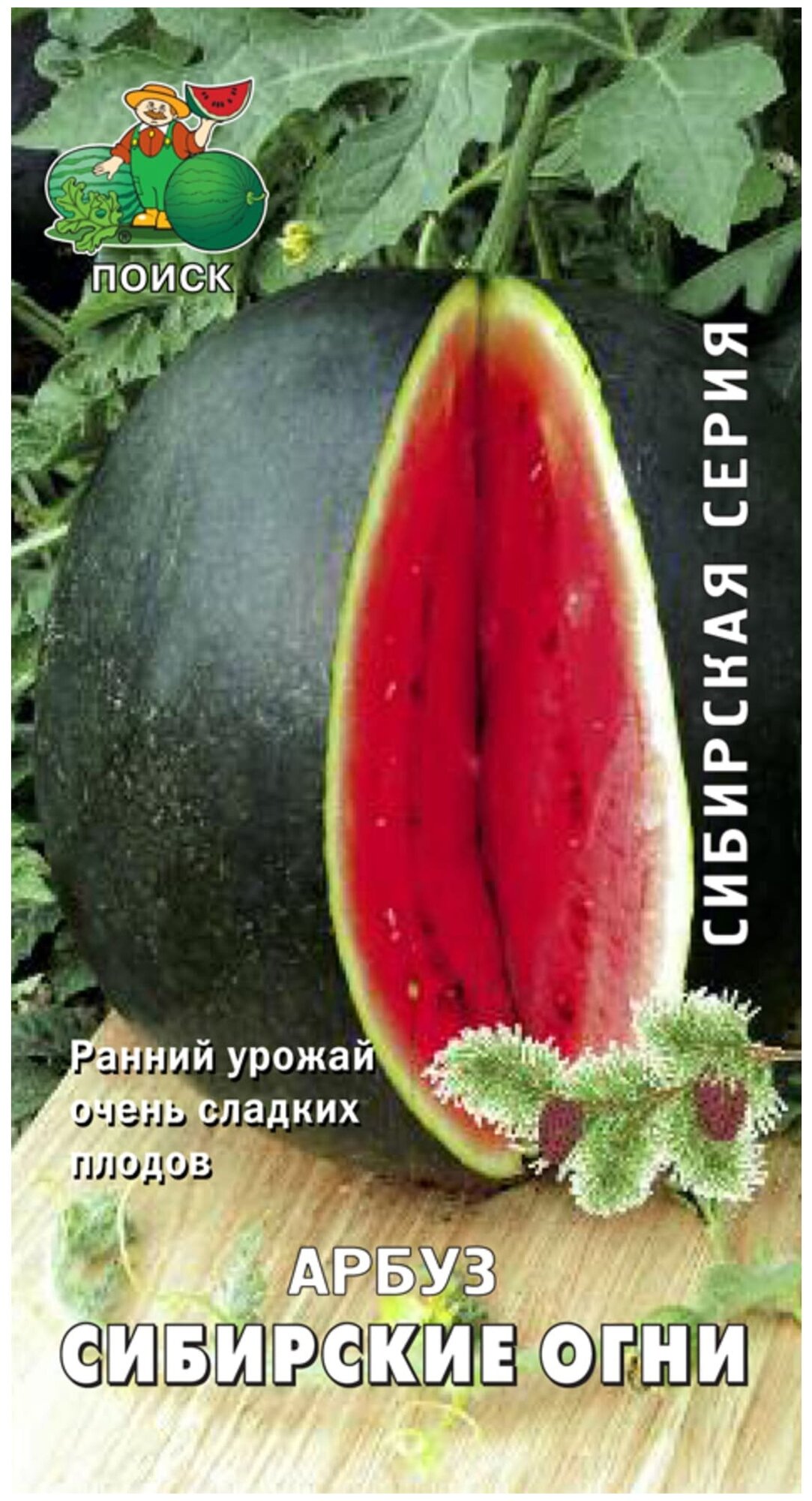 Семена арбуза поиск Сибирская серия Сибирские огни 15 шт