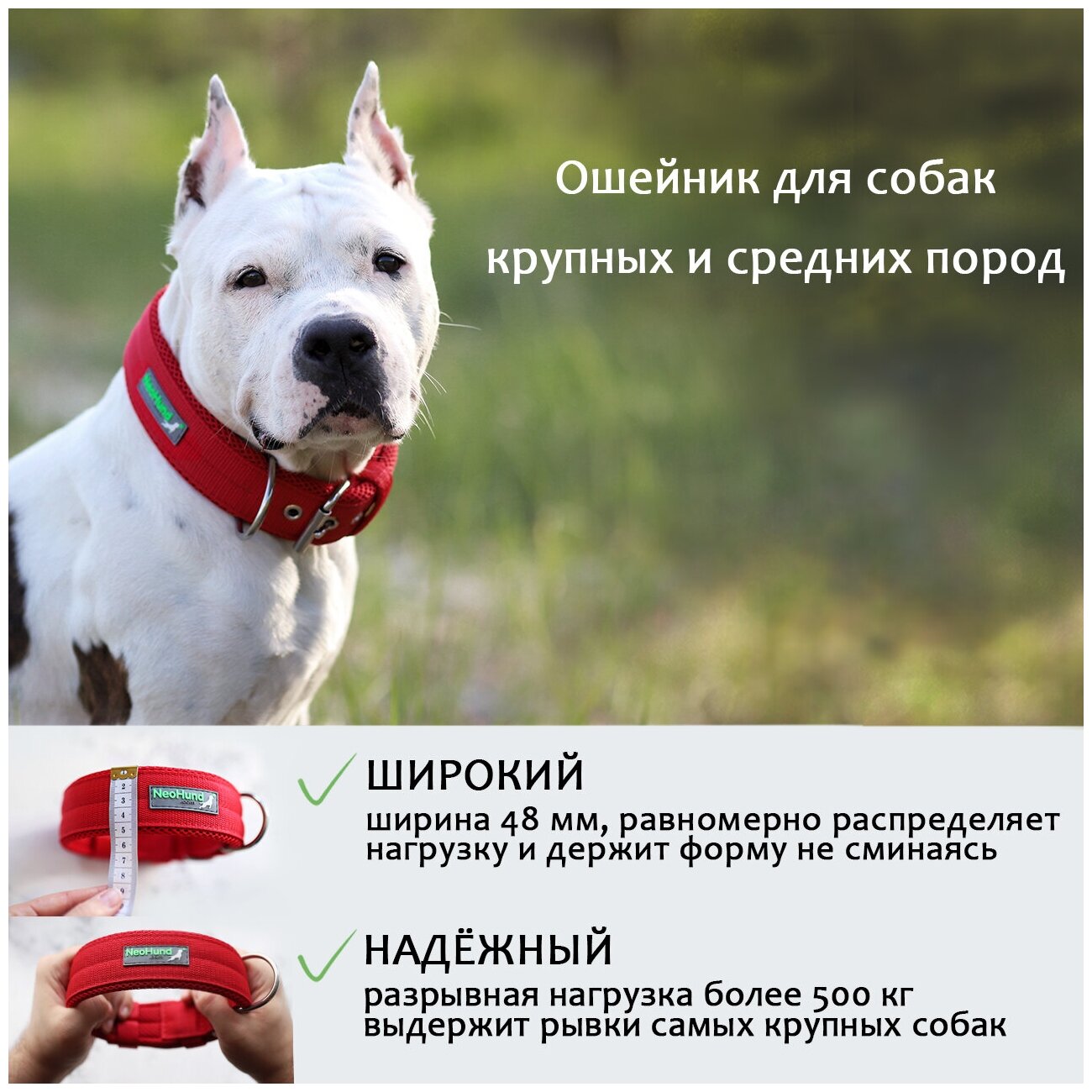 Ошейник для собак NeoHund широкий 4,8 см, для крупных и средних пород, цвет красный, обхват шеи 48-60 см - фотография № 2