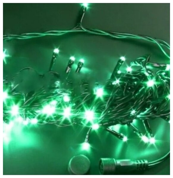 Гирлянда электрическая Rich LED Нить RL-S10C-24V-B, 1000 см green