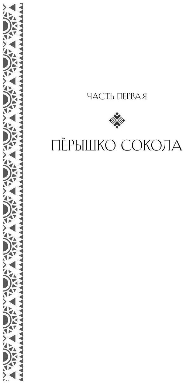 Золотые земли. Сокол и Ворон (Ульяна Черкасова) - фото №13