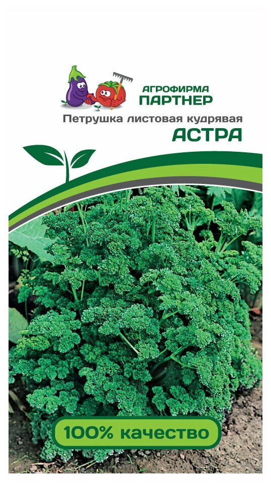 фото Семена Петрушка листовая кудрявая Партнер Астра 3 гр