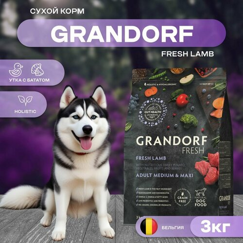 Grandorf беззерновой корм с живыми пробиотиками: свежее мясо утки с бататом для собак средних и крупных пород, 3 кг
