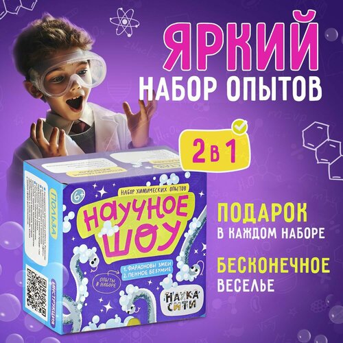 Опыты и эксперименты 2 в 1 Научное шоу новогодний подарок для детей 700₽