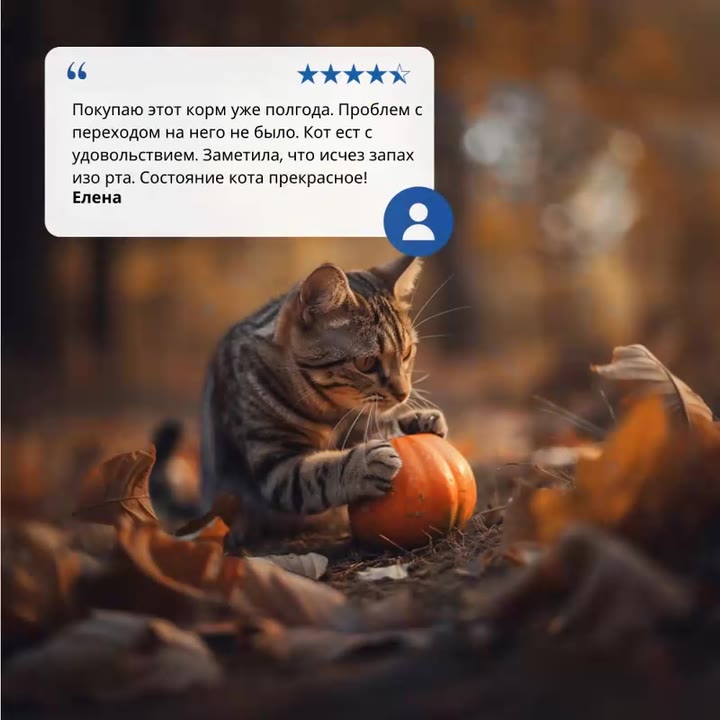 Farmina N&D Pumpkin Н&Д Тыква для кошек с перепелом для стерилизованных кошек и кастрированных котов Фармина 300 г — фото 1