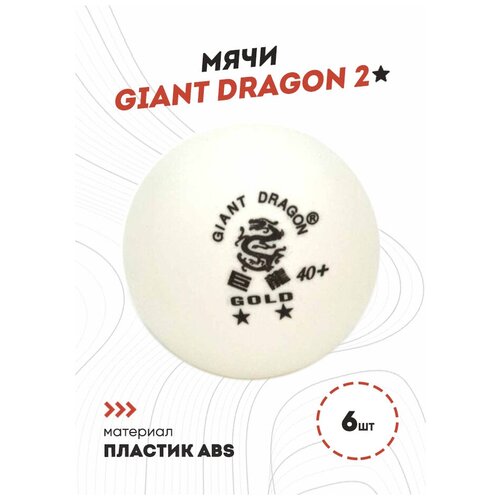 Мячи Dragon Training Gold 2* (6 шт., белые) в коробке