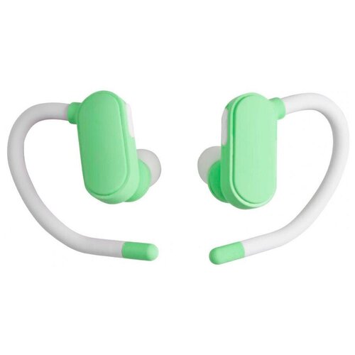 BandRate Smart BRSTWSC2WGN 250000₽