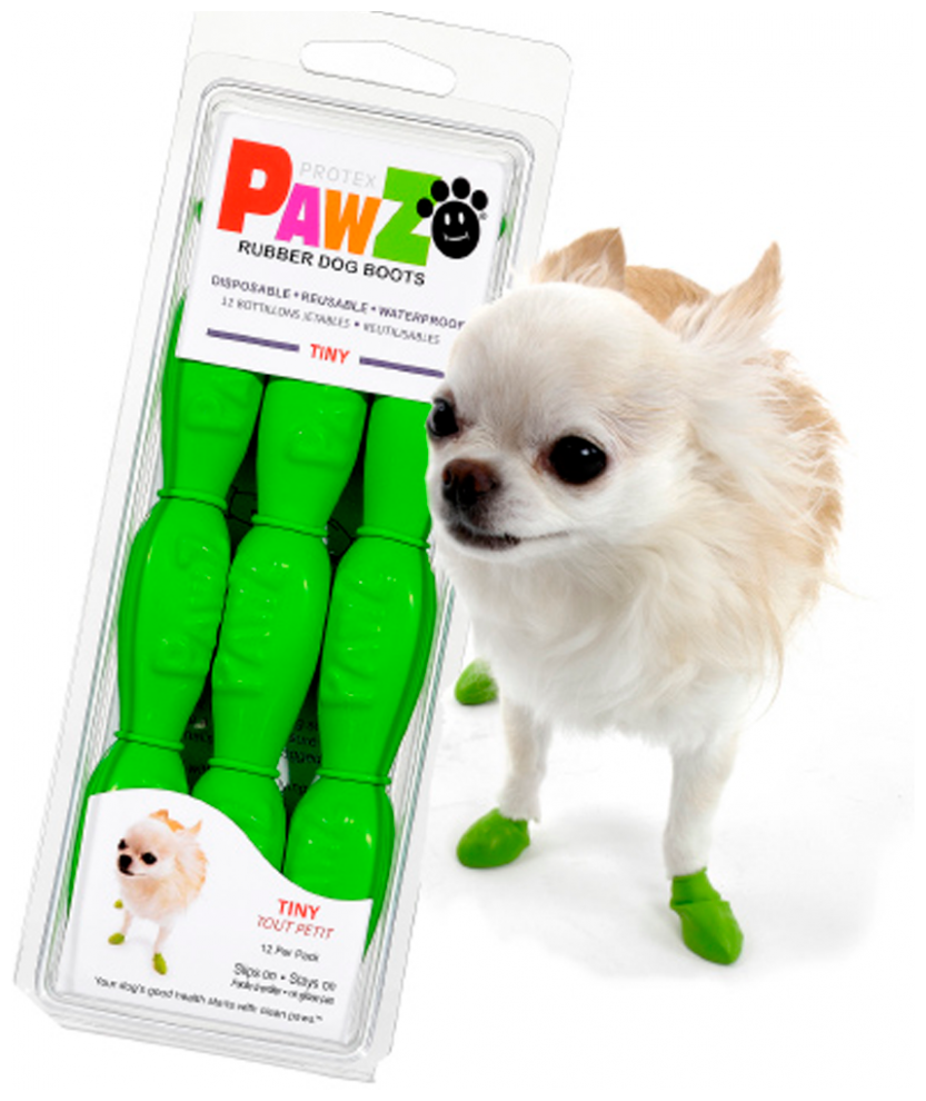 Обувь для собак Лапушки PawZ, Tiny, зеленый - фотография № 7