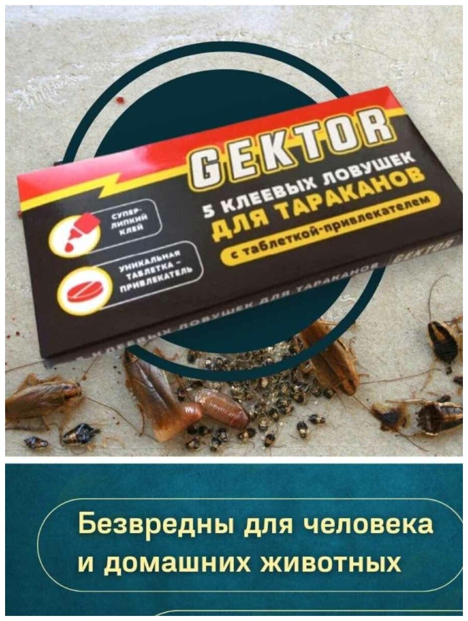 Клеевая ловушка от тараканов Гектор 5 шт - фотография № 9