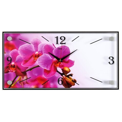 Часы настенные 21 Век Розовая Орхидея 40x20 см прямоугольной формы для кухни, спальни, кварцевый механизм с плавным ходом, арабские цифры, циферблат с рисунком, корпус ДВП, пластик, стекло металл, работа от 1 батарейки тип АА