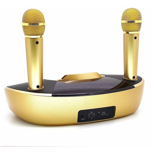 Караоке система Орбита OT-ERM09 цвет золото 529800₽