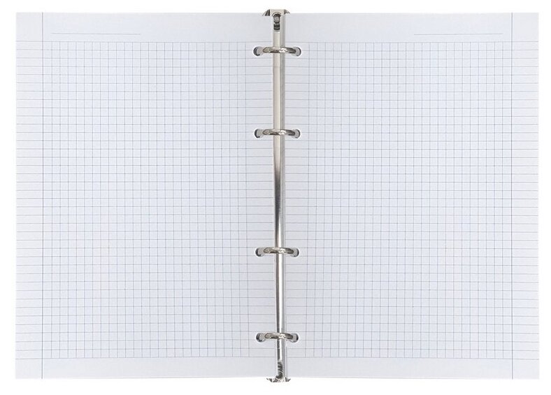 Тетрадь общая, Infolio Study (120л, кольцевой механизм, Meadow) (N1042) - фото №4
