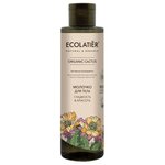 Молочко для тела Ecolatier GREEN Гладкость & Красота Серия ORGANIC CACTUS, 250 мл - изображение