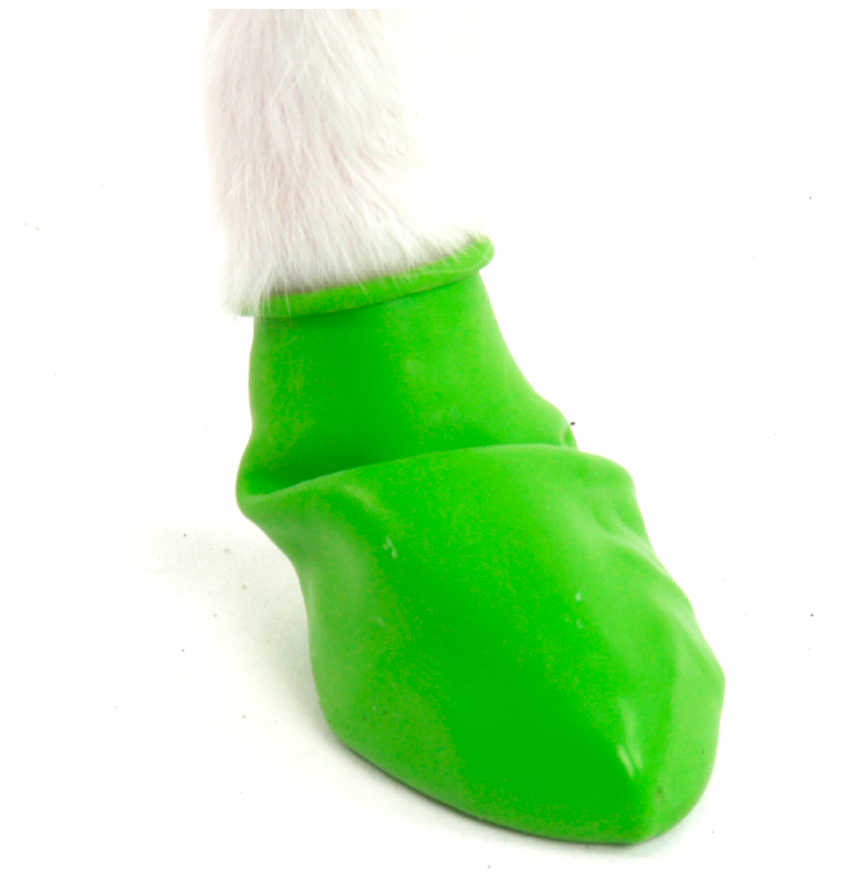 Обувь для собак Лапушки PawZ, Tiny, зеленый - фотография № 6