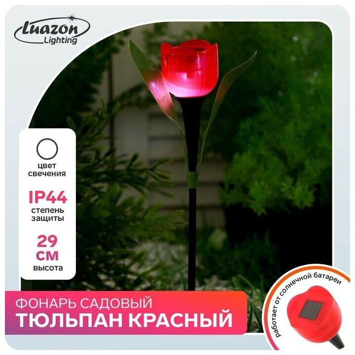 Luazon Lighting Тюльпан красный светодиодный, цвет арматуры: черный, цвет плафона красный