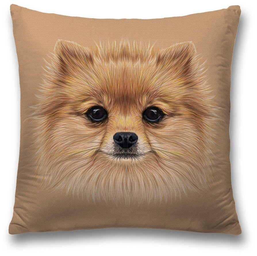 фото Наволочка декоративная 345250