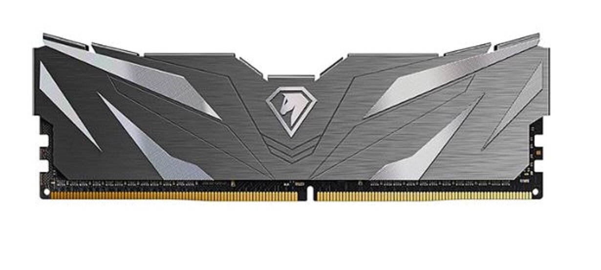 Память оперативная DDR4 Netac 16Gb 2666Mhz (NTSWD4P26SP-16K) - фото №1