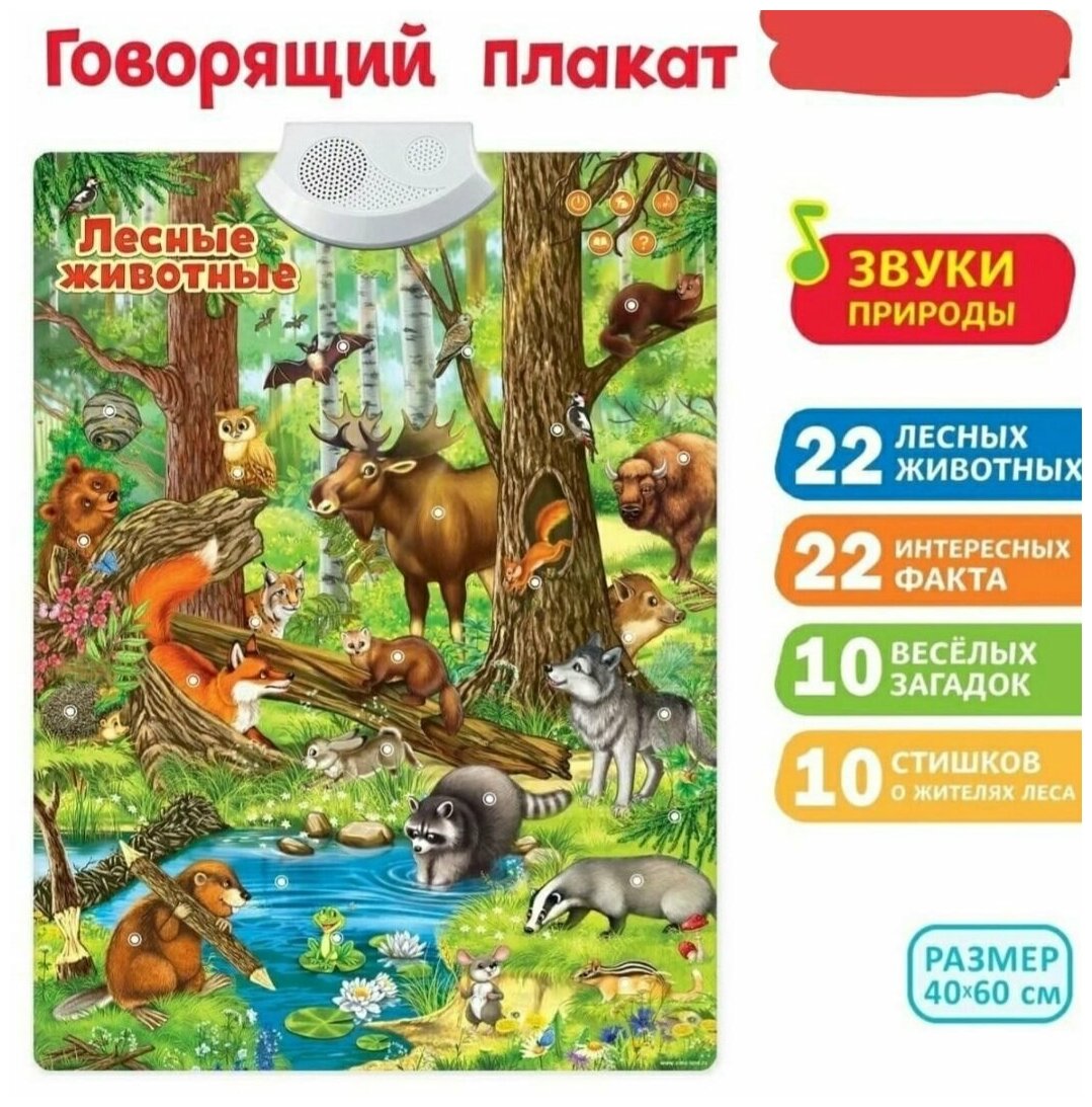 Говорящий электронный плакат Лесные животные