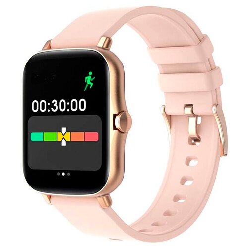 CheckME Smart CMSY220GP 693000₽