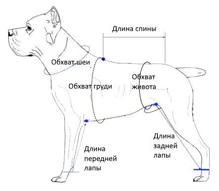 Теплый комбинезон для крупного лабрадора суки, на флисе, повышенной прочности, с надписью ДПС - фотография № 3