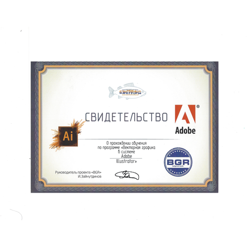 Сертификат на 3 урока Adobe ILLUSTRATOR