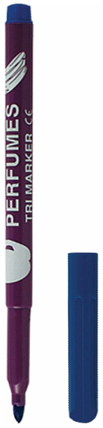 Ароматизированные фломастеры Centropen Perfumes, 10 шт. (2589/10) - фото №2