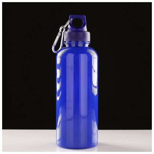 Бутылка для воды 650 мл, спортивная, туристическая, с карабином, 7х22 см