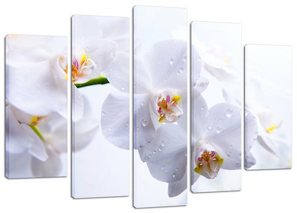 Модульная картина Белые орхидеи 80х140 см.