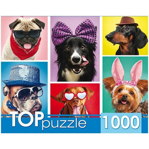 Пазл TOP Puzzle 1000 деталей: Забавные щенки