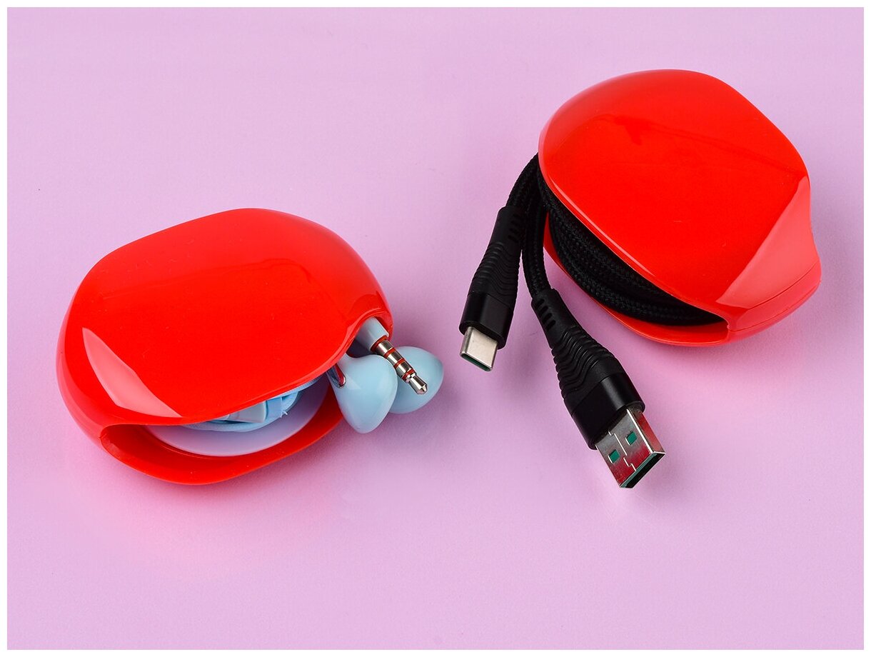 Чехол для наушников и проводов/кейс для проводных наушников/держатель для проводов — фото 1