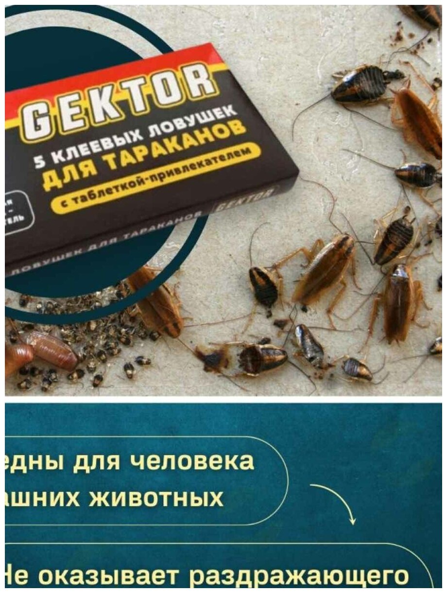 Клеевая ловушка от тараканов Гектор 5 шт - фотография № 11