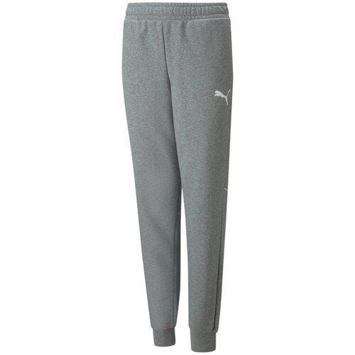 Брюки/846999-03/Active Sports Sweatpants TR B/серый/116