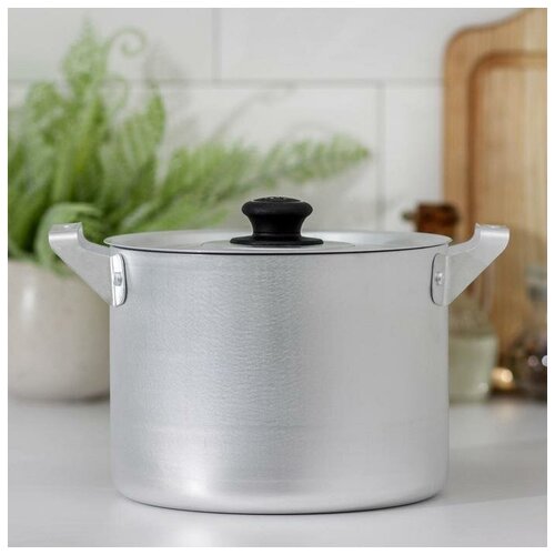 Кастрюля 25 л глубокая металлическая крышка цвет хромированный 1568₽