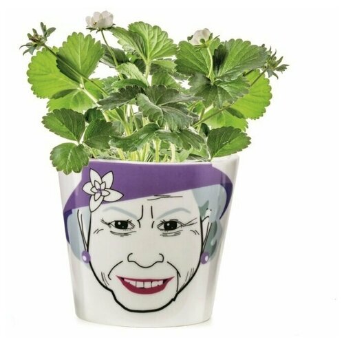 Цветочный Горшок Donkey Products Flower Queen, DO210764