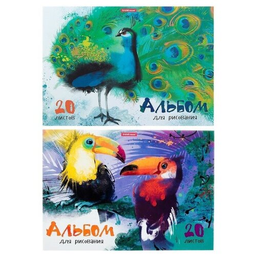 Альбом для рисования А4, 20 листов, на клею, Erich Krause 'Птицы жарких стран', обложка мелованный картон, жесткая подложка, блок 120 г/м2
