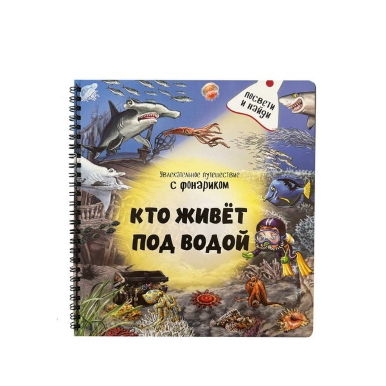 Кто живет под водой? Увлекательное путешествие с фонариком - фото №1