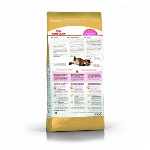 Royal Canin Kitten Maine Coon корм для котят породы мейн-кун в возрасте до 15 месяцев 400 г