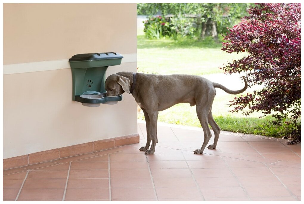 Миска двойная настенная BAMA PET MAXI для собак, 2200мл, 50х29х52см, бежевая - фото №5