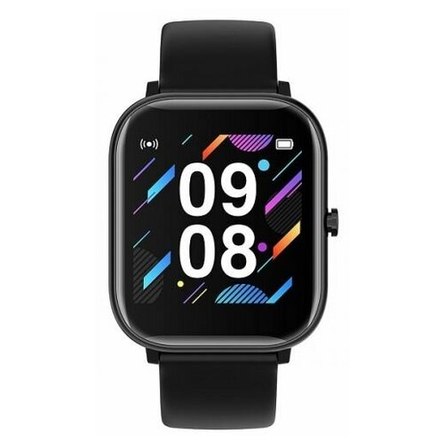 Часы Digma Smartline E3 E3B 14 TFT черный 1497171 144600₽