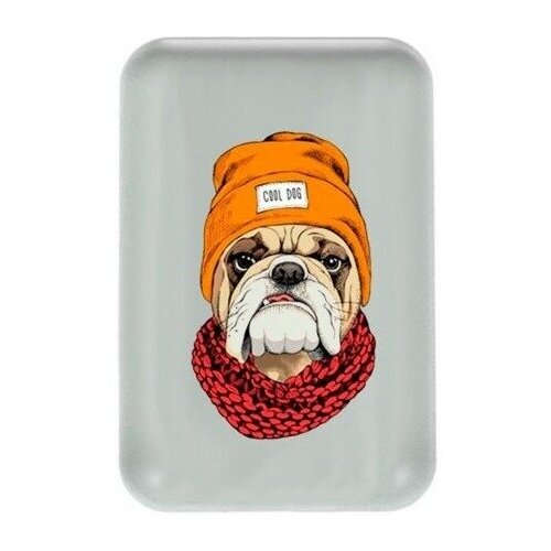 Внешний аккумулятор Ritmix RPB-10007 Bulldog 208300₽