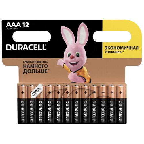 Элемент питания DURACELL BASIC LR6, 12BL