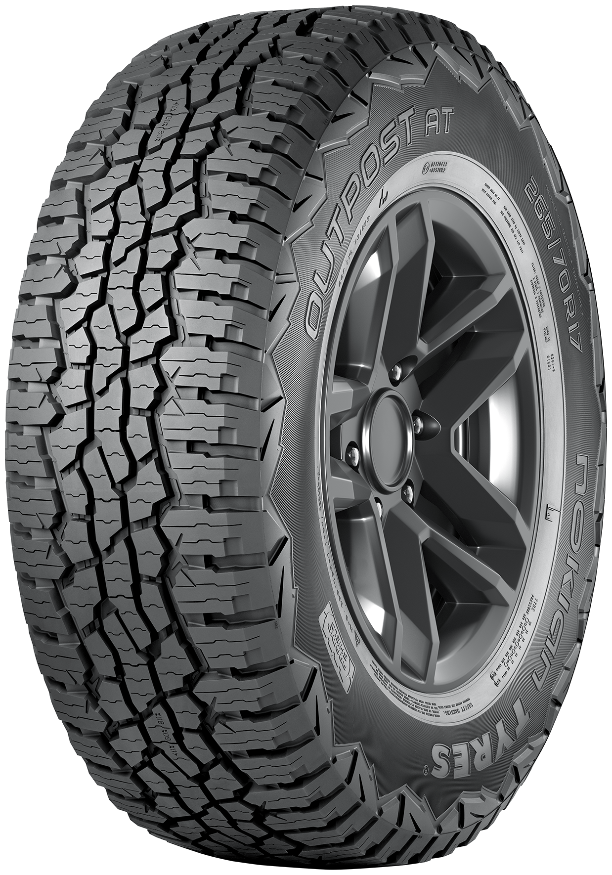 Автошина Nokian Tyres Outpost AT 245/65 R17 107T