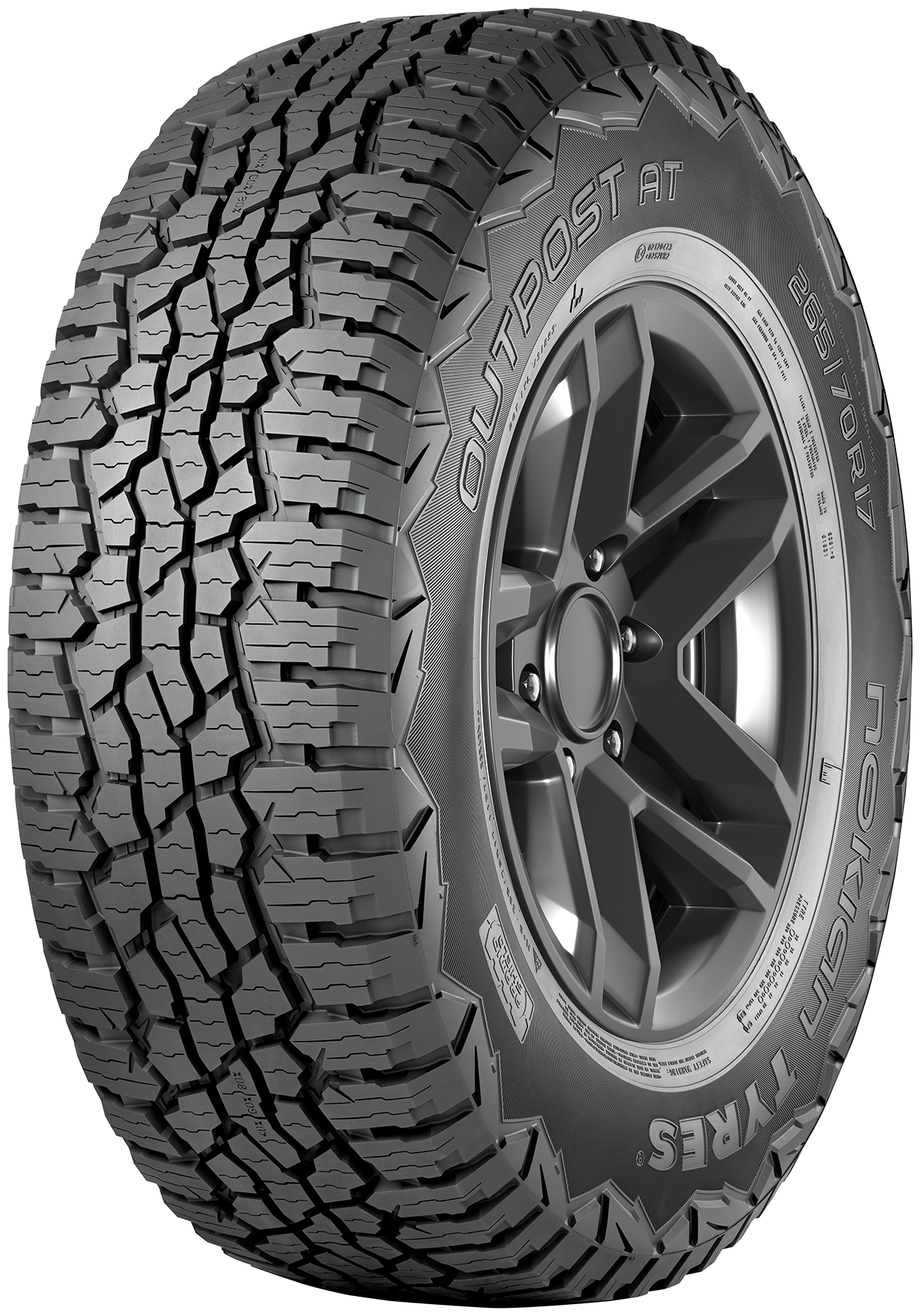 NOKIAN TYRES Outpost AT 265/65R18 114H нешипованная