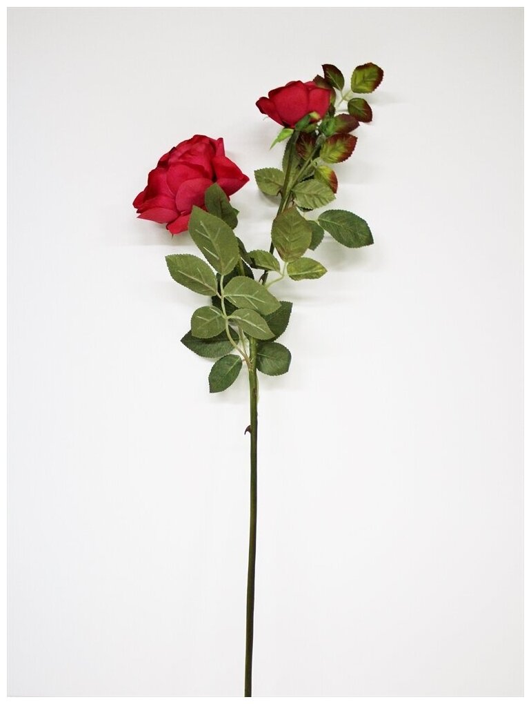 Роза 72 см