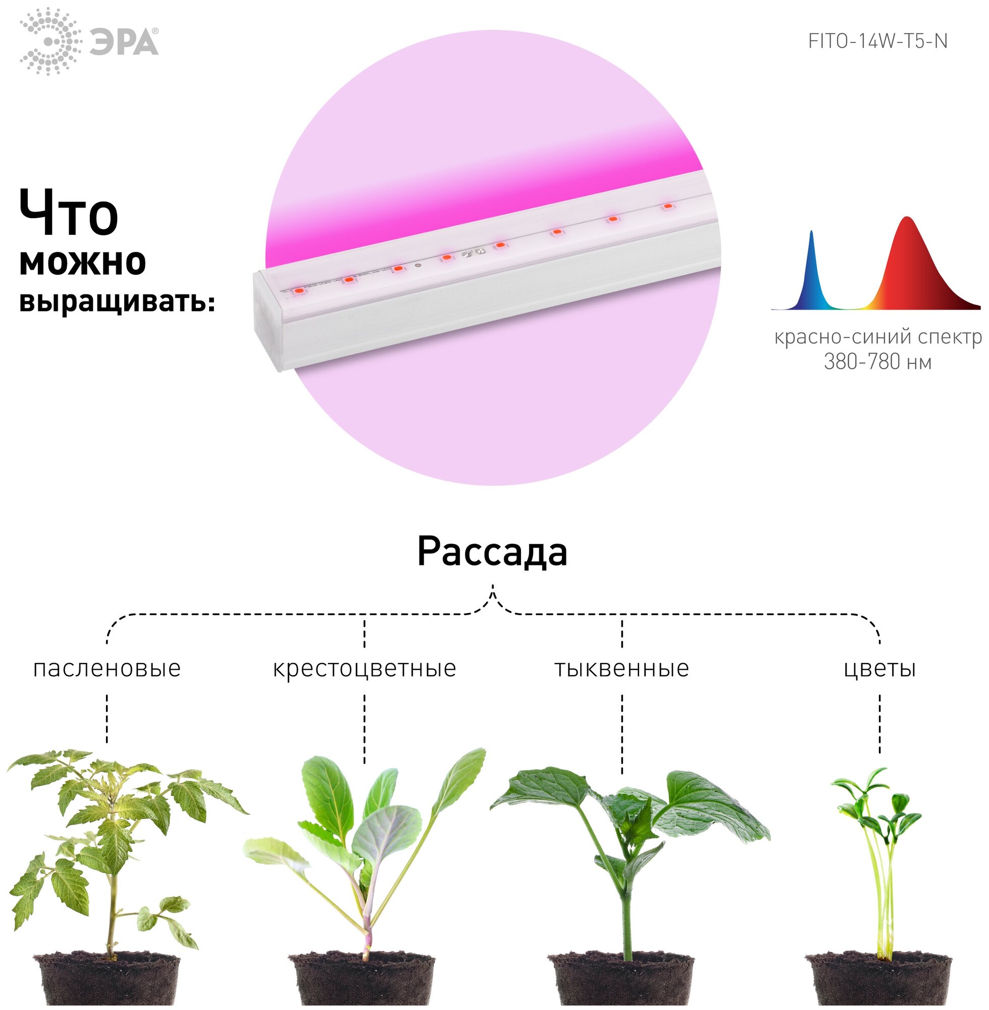 Светильник для растений фитолампа светодиодная линейная ЭРА FITO-14W-Т5-N красно-синего спектра 14 Вт Т5