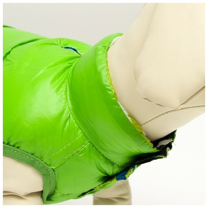 Куртка для собак КНР двухсторонняя, размер 10, спинка 25 см, грудь 34 см, шея 24 см, зеленая - фотография № 5