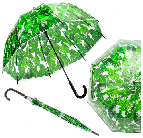 Зонт-трость ЭВРИКА подарки и удивительные вещи, полуавтомат, купол 80 см, 8 спиц, прозрачный, зеленый