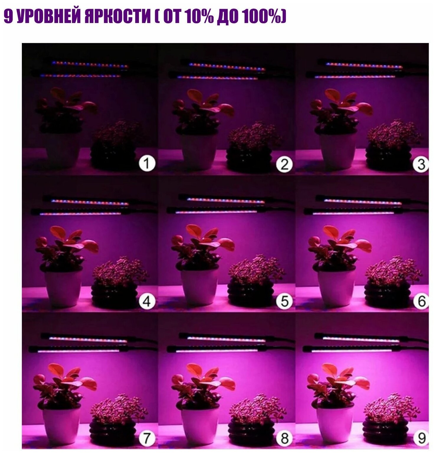 Фитолампа светодиодная 4 панели, светильник для растений с регулируемым зажимом, пультом на проводе, удлинителем 1.5 м и адаптером - фотография № 6
